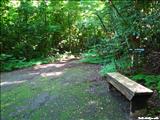 San Patricio Forest - GUAYNABO